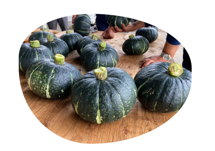 きゃらポチッ 稲敷いなのすけ