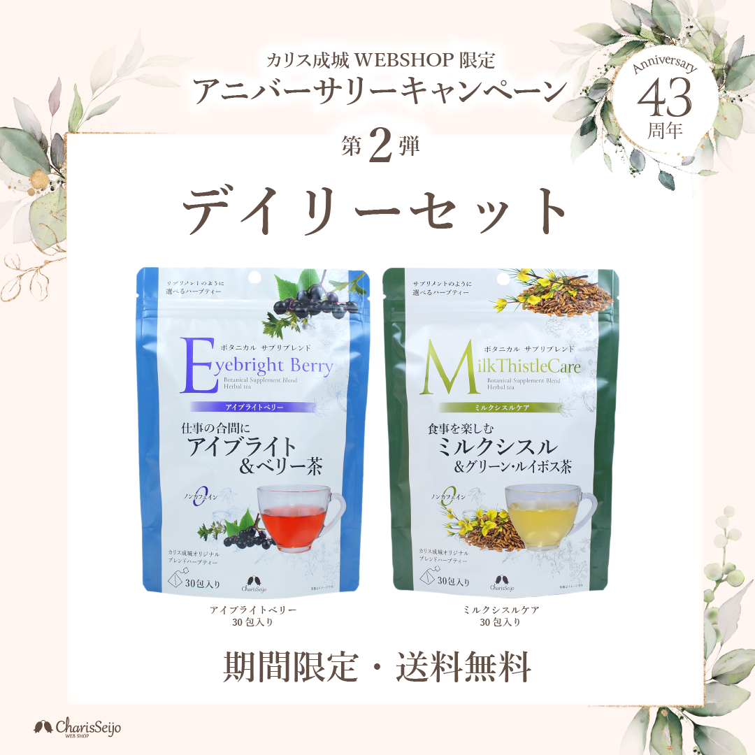 43周年記念 第二弾「デイリーセット」