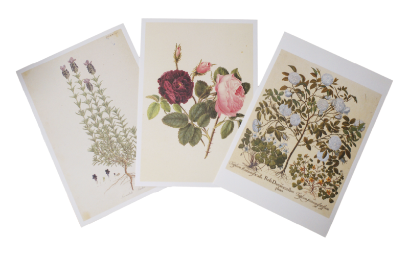 プレゼント品イメージ