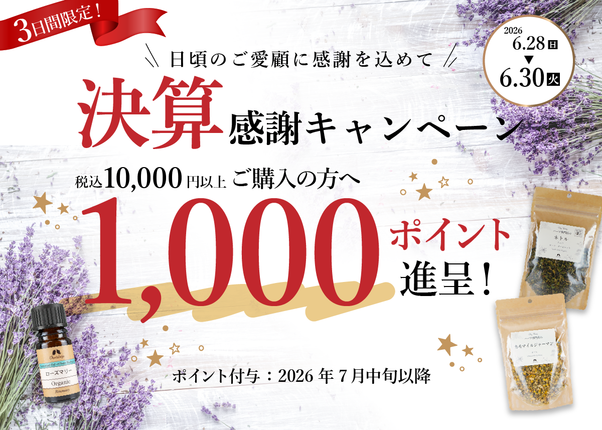 『３日間限定！決算ポイント祭』