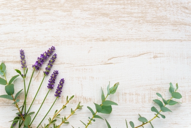 Column記事の画像