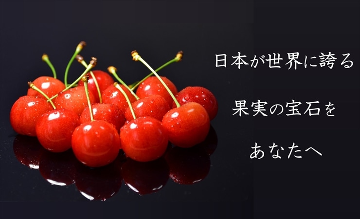 温室さくらんぼ