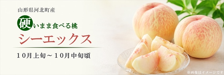 チェリーランドさがえ公式オンラインショップ｜山形の特産品・お土産通販