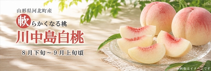 川中島白桃