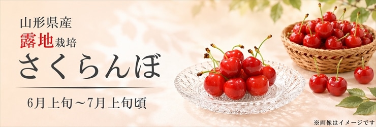 露地さくらんぼ