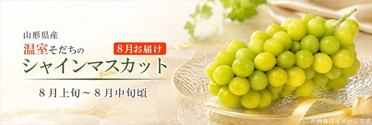 温室シャインマスカット