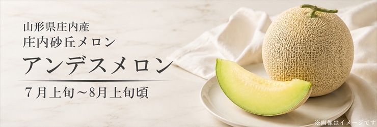 アンデスメロン
