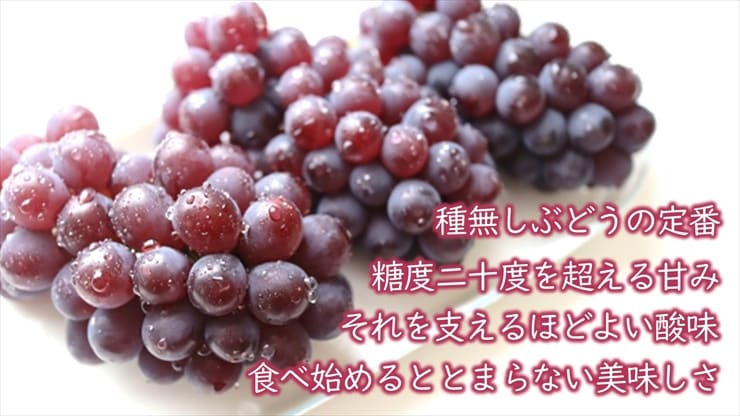 山形県産デラウェア