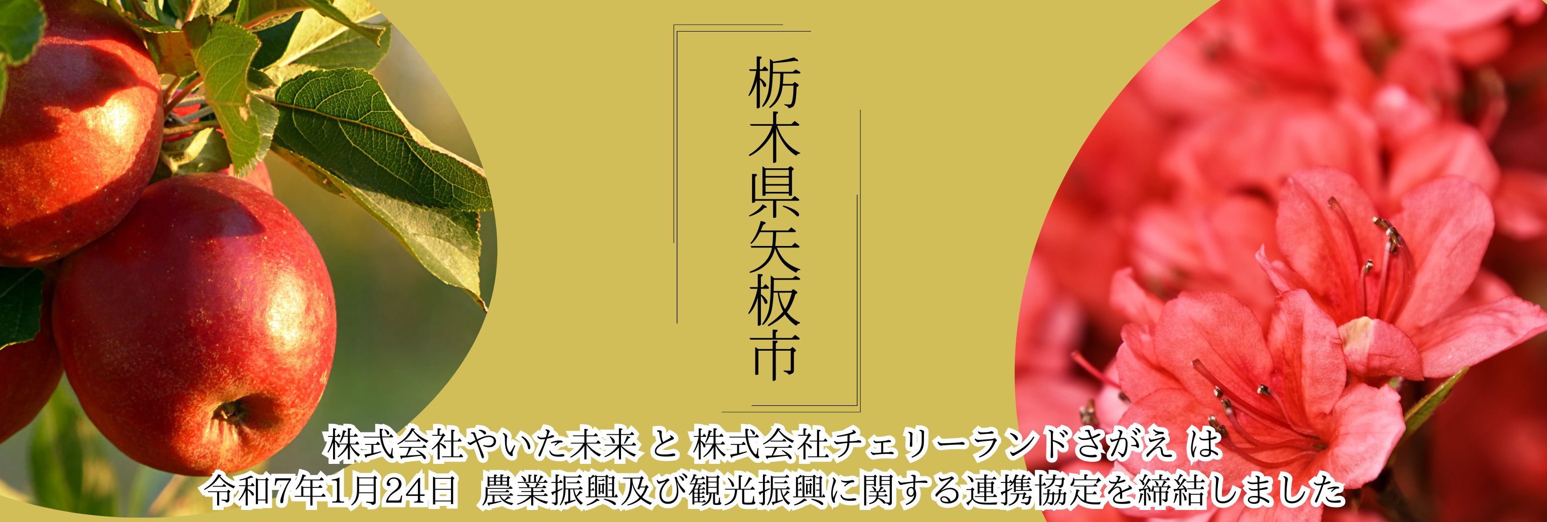 矢板