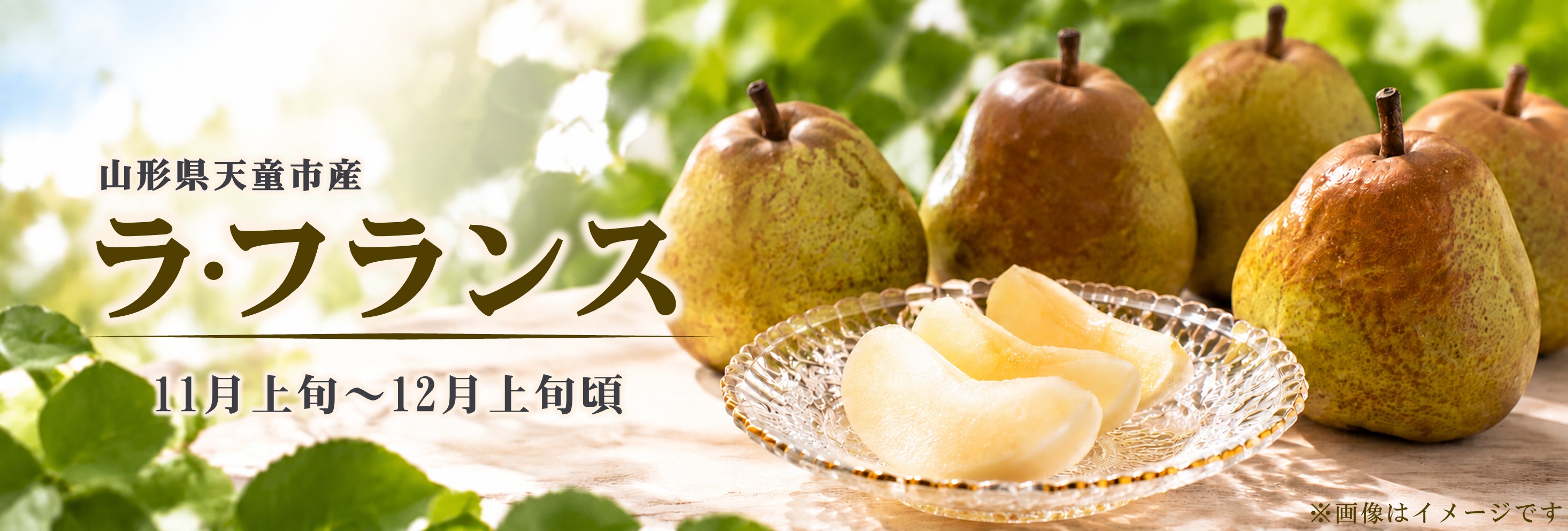 果物・野菜,ラ・フランス | チェリーランドさがえオンラインショップ