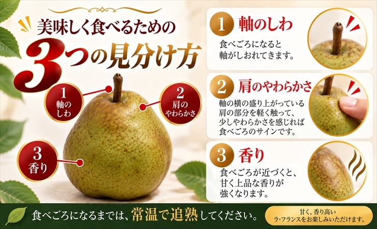 果物・野菜,ラ・フランス | チェリーランドさがえオンラインショップ