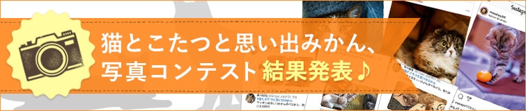 鶏肉とお惣菜のお店 チキンナカタ】│猫と、こたつと、思い出みかん