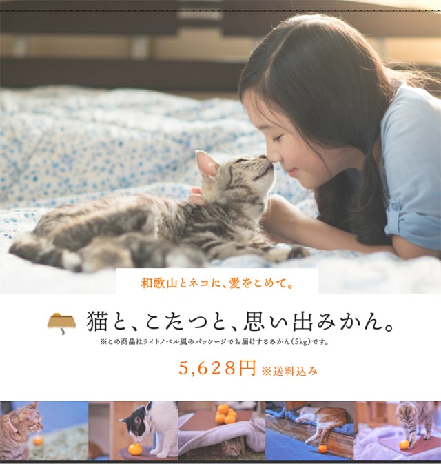 【猫の日】こたつねこ様 返却分 その他