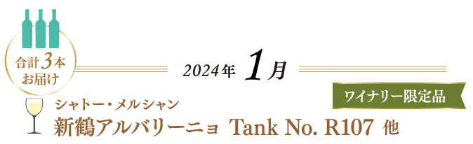2024ǯ1 3ܤϤ ȡ륷ᥢХ꡼˥ Tank No. R107¾ 磻ʥ꡼