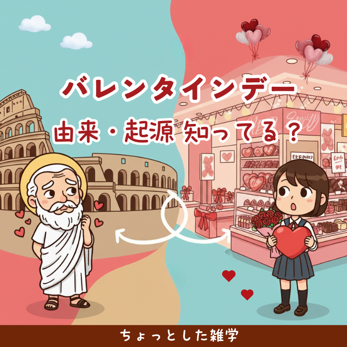 ���祳�����֥���