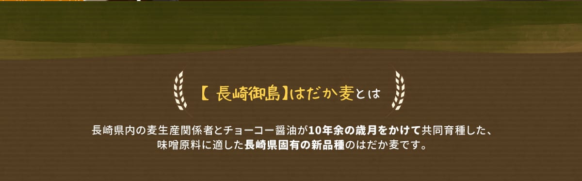 【長崎御島】はだか麦とは