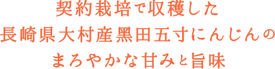 h3 契約栽培で収穫した 長崎県大村産黒田五寸にんじんの まろやかな甘みと旨味