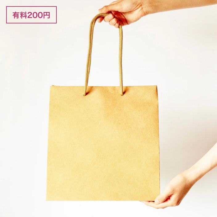 ショッピングバッグイメージ画像