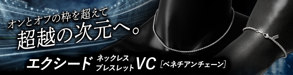 ���������� �ͥå��쥹���֥쥹��å� VC