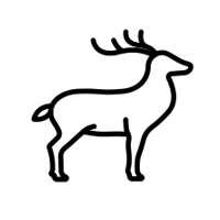 鹿