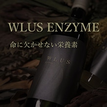 ウルスエンザイム