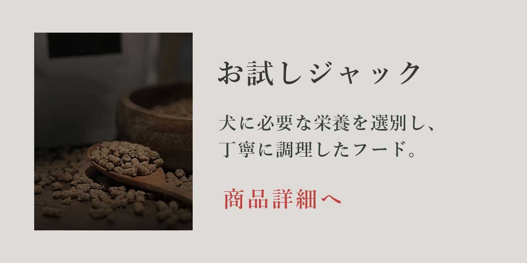 お試しジャック