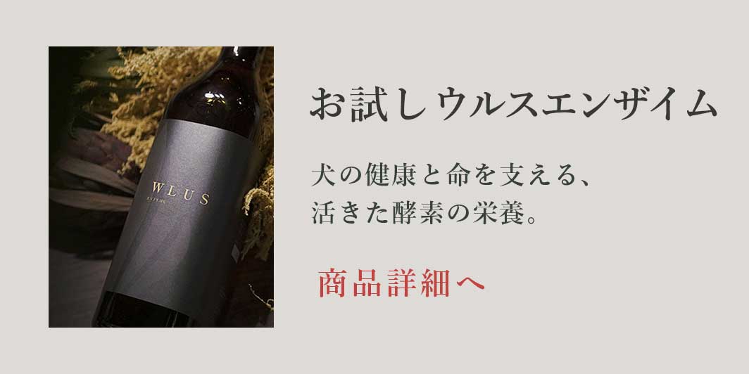 お試しウルスエンザイム