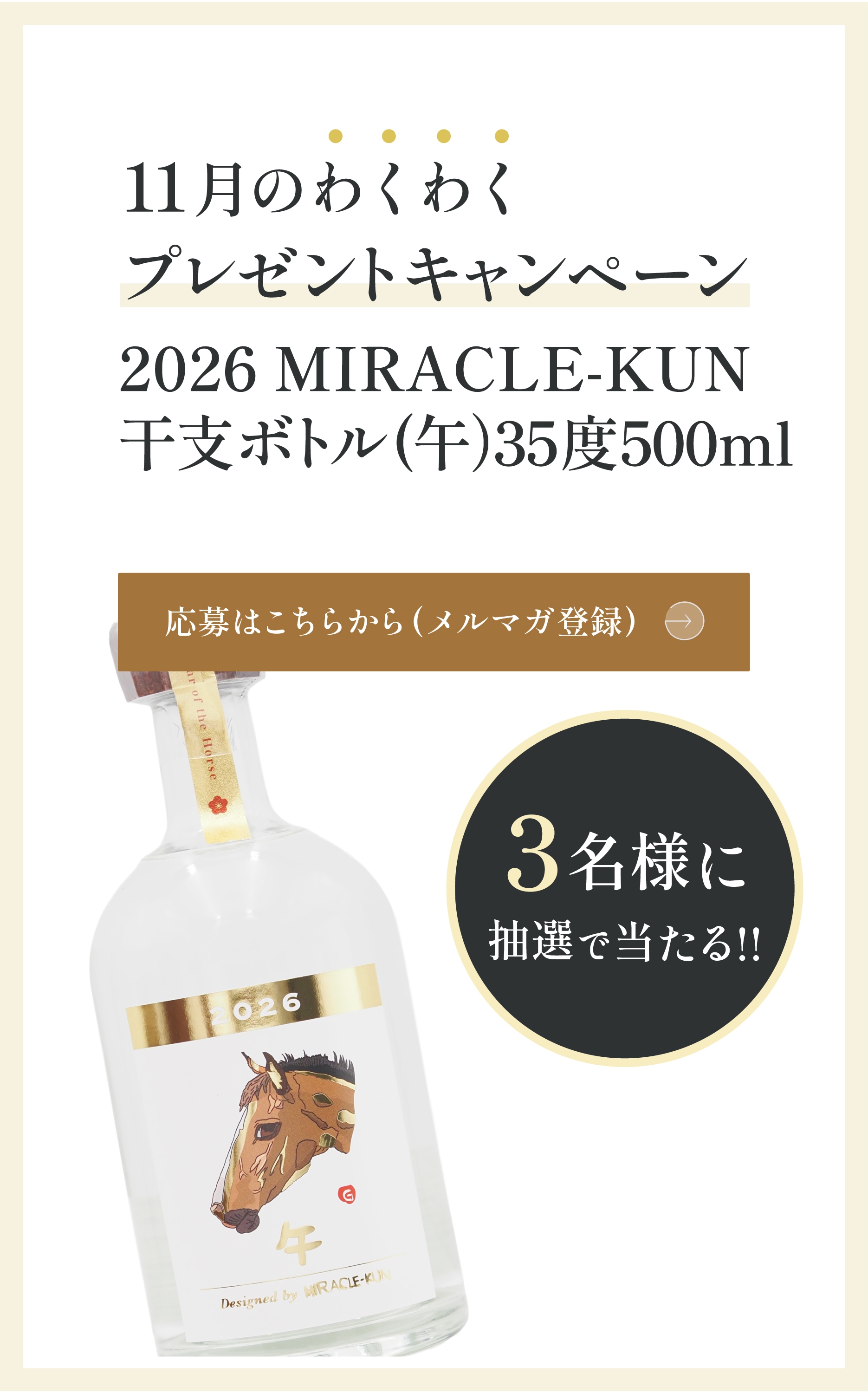 【あわもりさん専用】本場泡盛 國華 守禮 2本 沖縄土産におすすめ！忠孝の沖縄泡盛「2025涼華」