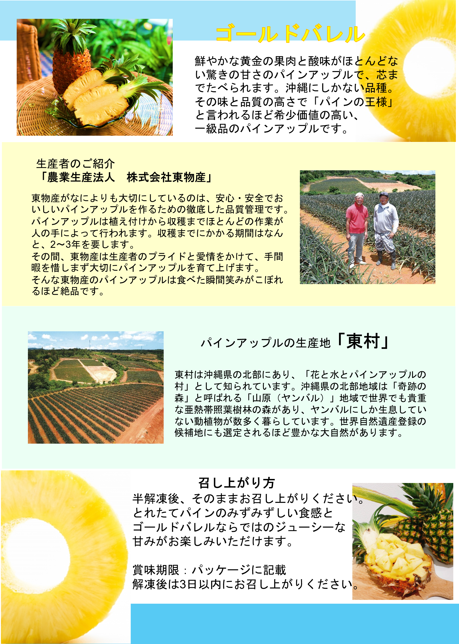 冷凍カットパインバスケット（沖縄県東村産ゴールドバレルまるごと凍結！糖度16度以上）限定100個 | FruitsFruits | チュラフルマーケット