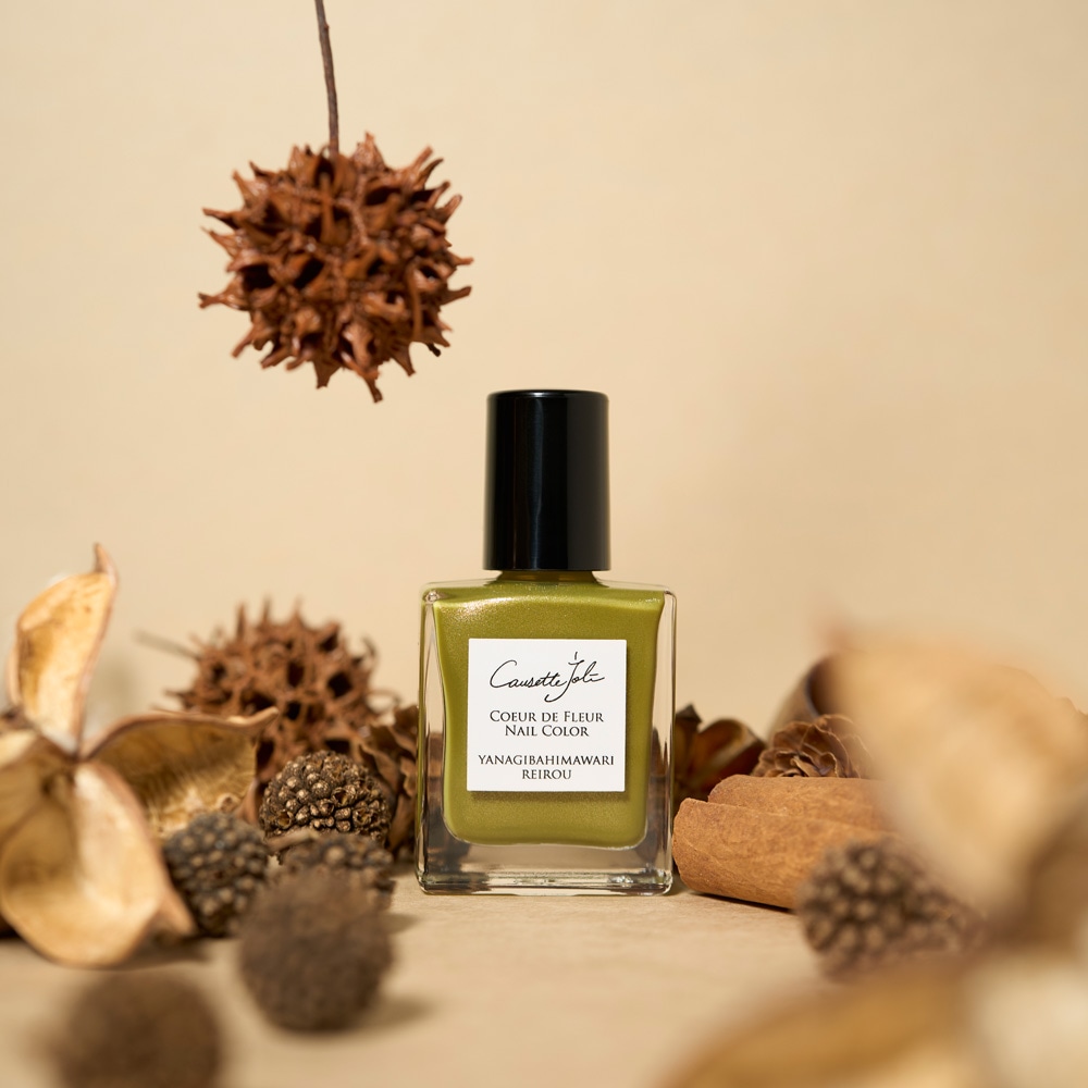 Causette.Joli Online Shop | 2025 Autumn Limited Color