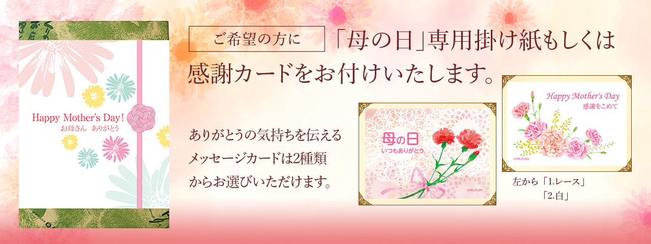 母の日感謝カード、専用掛け紙