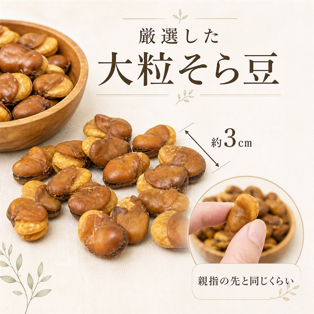 約3cmの大粒そら豆