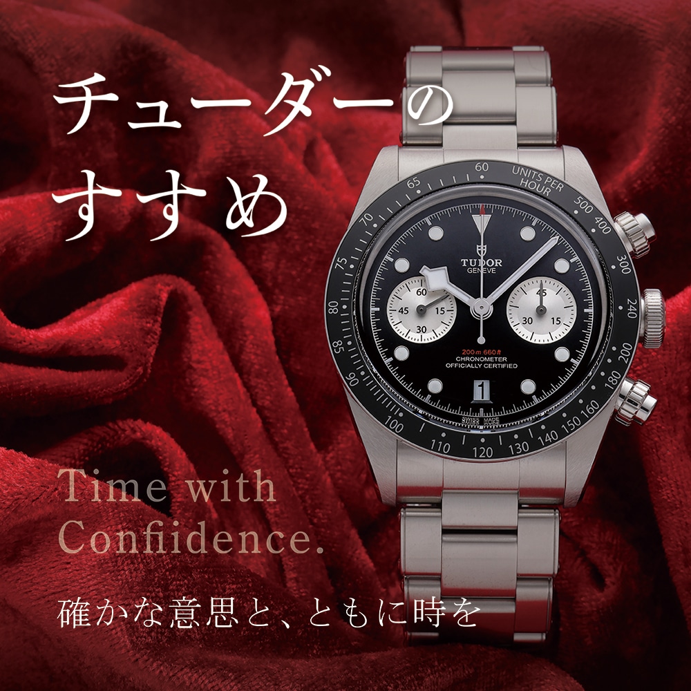 チューダー特集