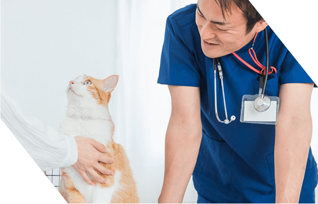 動物病院との強い繋がりで、愛犬・愛猫の健康をサポート