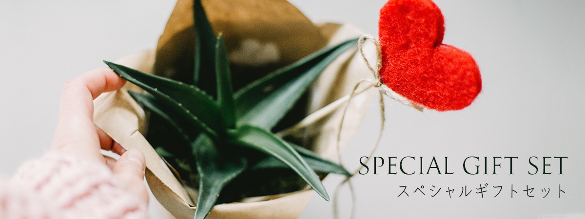 スペシャルギフトセット