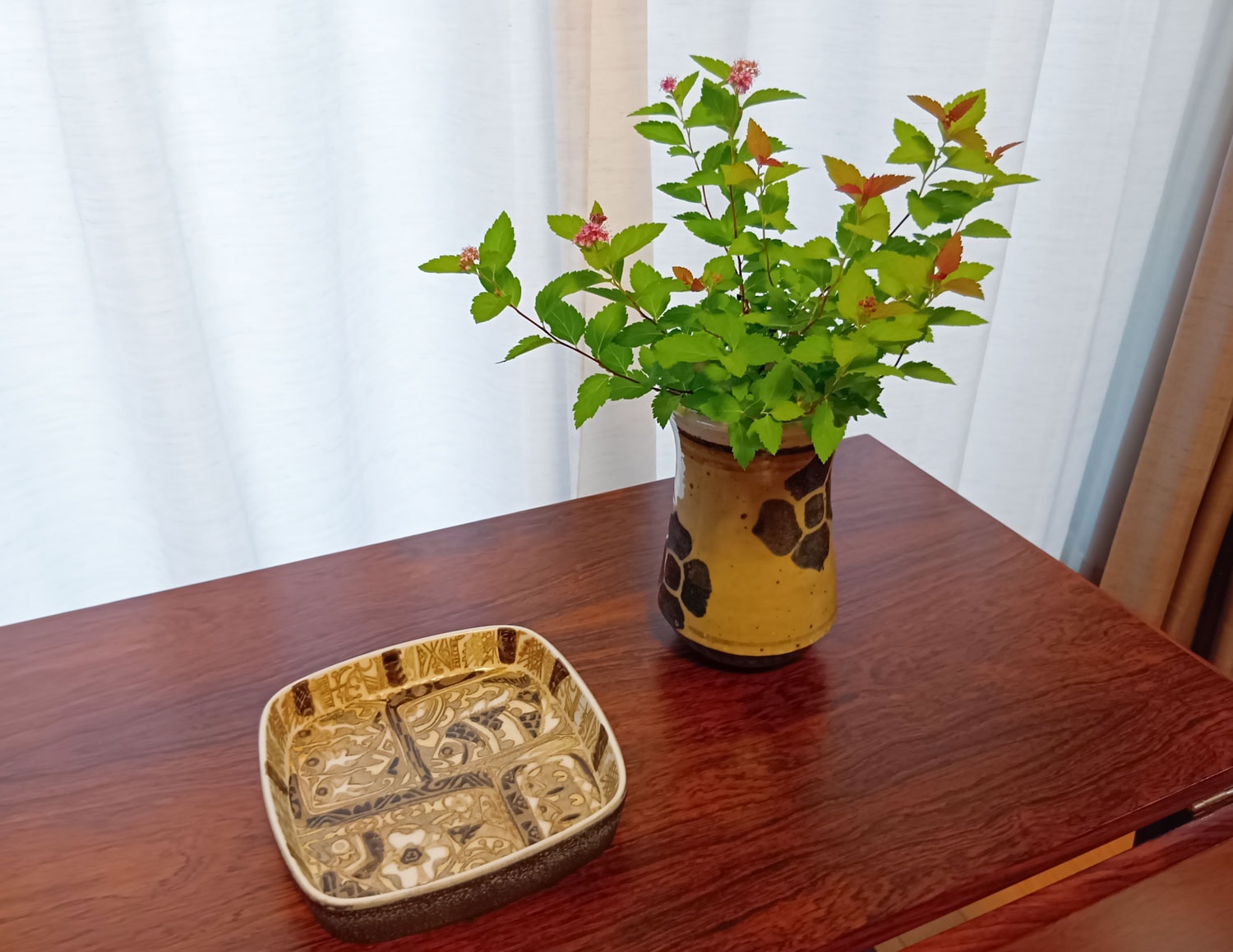 �����ҡ��ơ��֥�