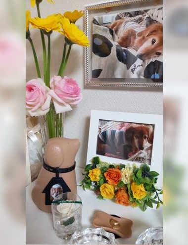 愛犬と位牌の写真