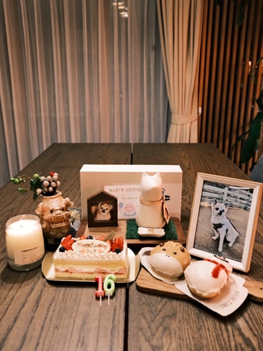 愛犬と位牌の写真