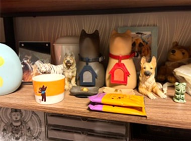 愛犬と位牌の写真