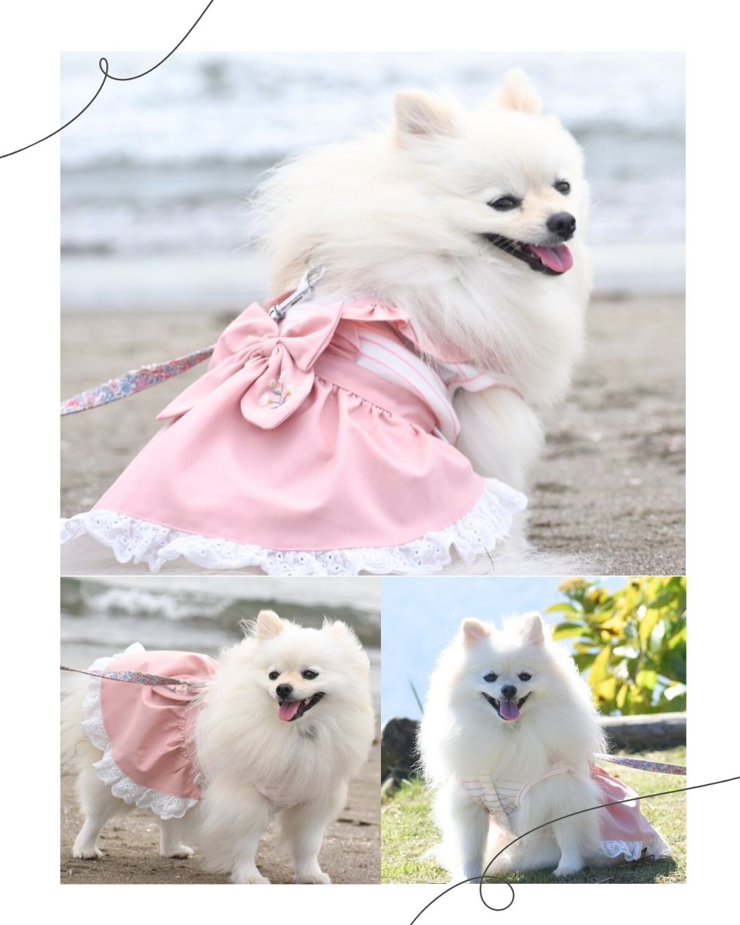 リボンボーダーワンピース ｜ かわいい ドッグウェア 春夏 小型犬