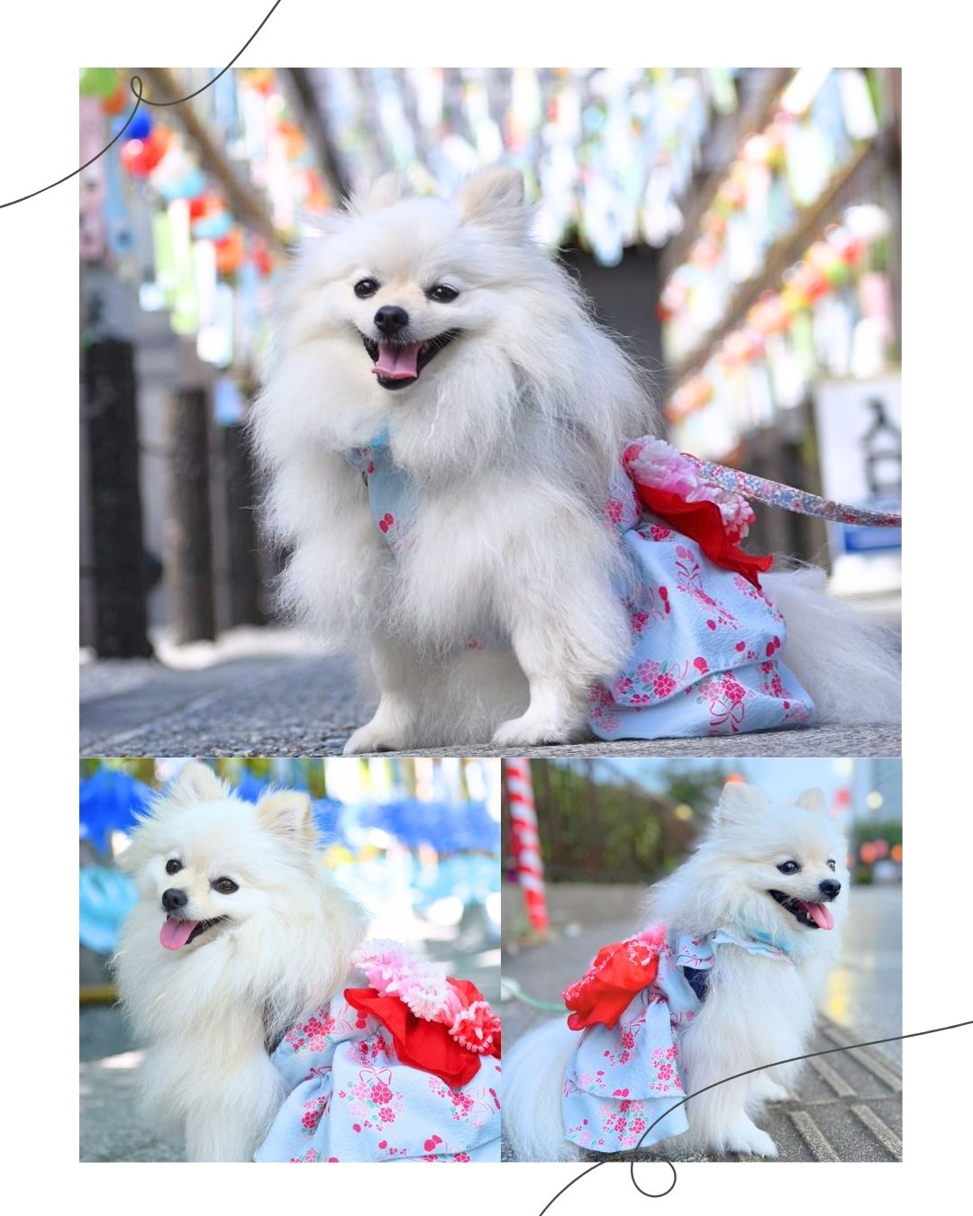 サンドレス浴衣 さくらんブーケ ｜ 犬用 浴衣風 祭り ゆかた