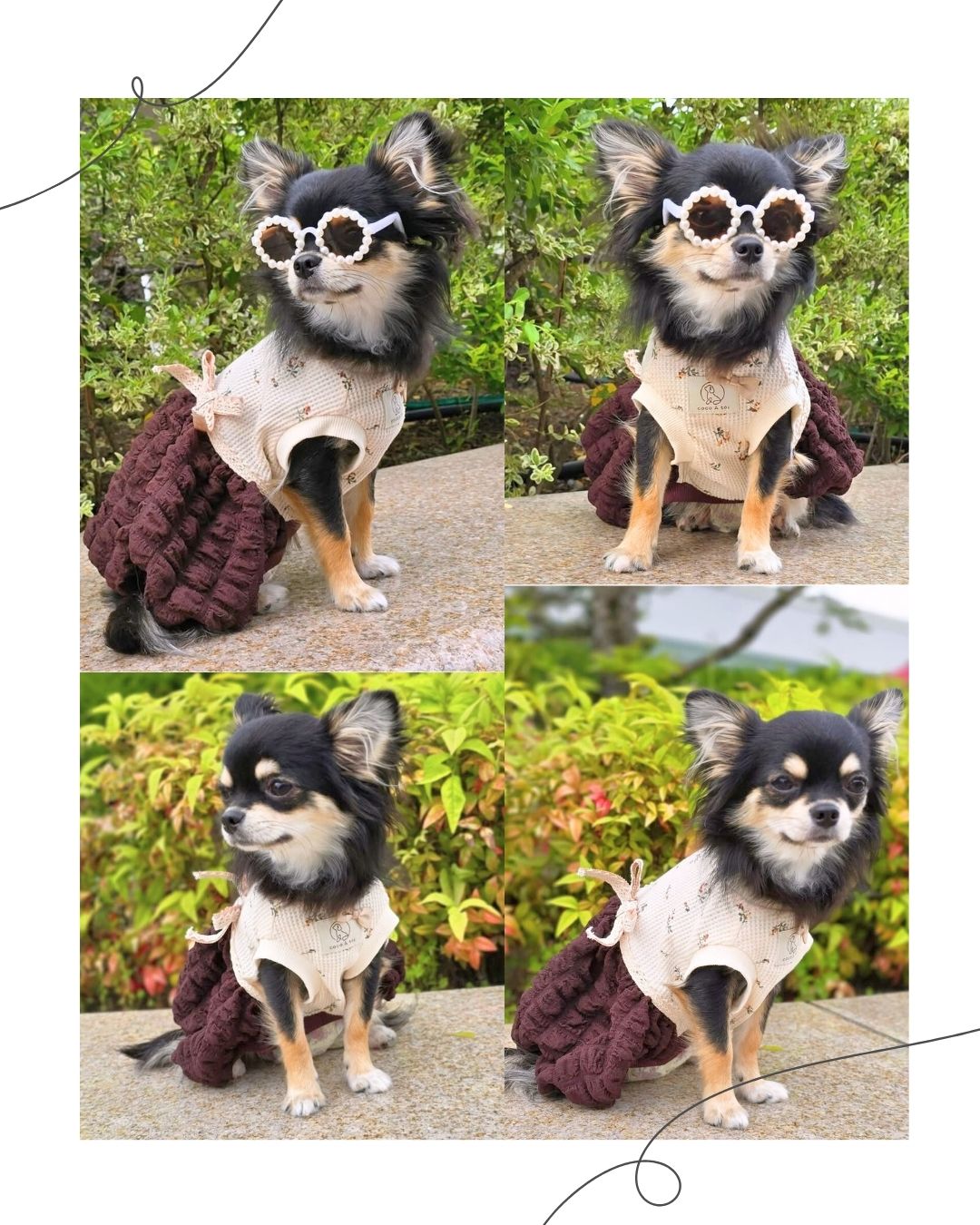 ぽこぽこポップコーンワンピース ｜ かわいい おしゃれ 犬服 ドッグ