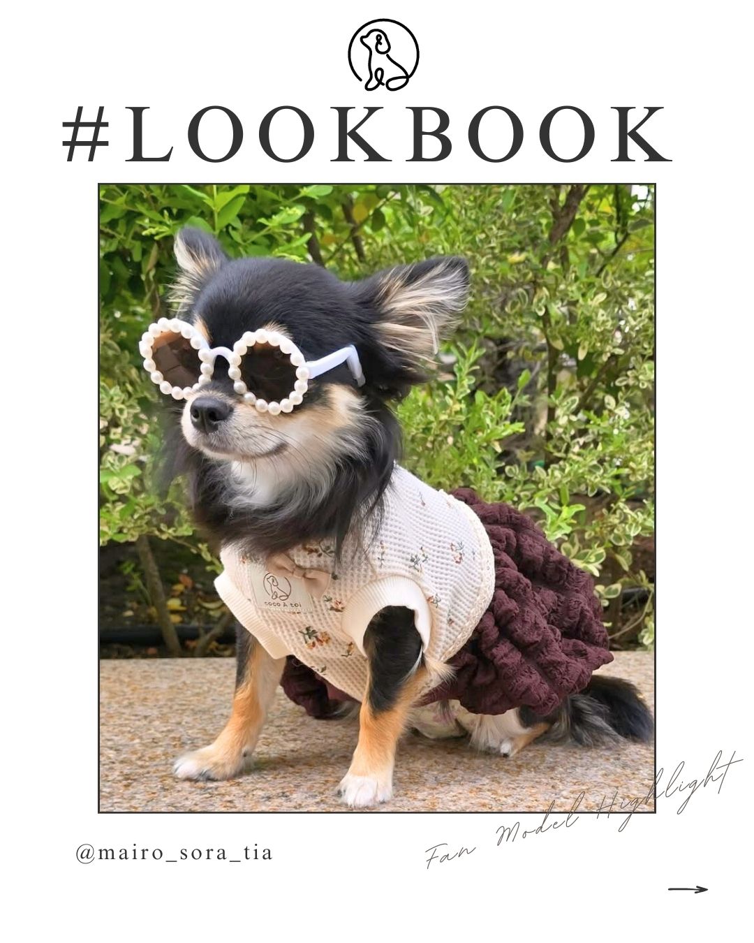 ぽこぽこポップコーンワンピース ｜ かわいい おしゃれ 犬服 ドッグ