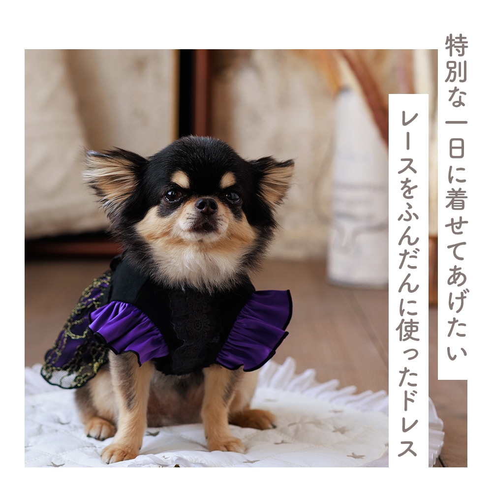 小型犬用フリルドレス 黒・赤・チェック 小型犬用フリルドレス 黒・赤・チェック 1b76e138e668e493f0b18d82f9a333