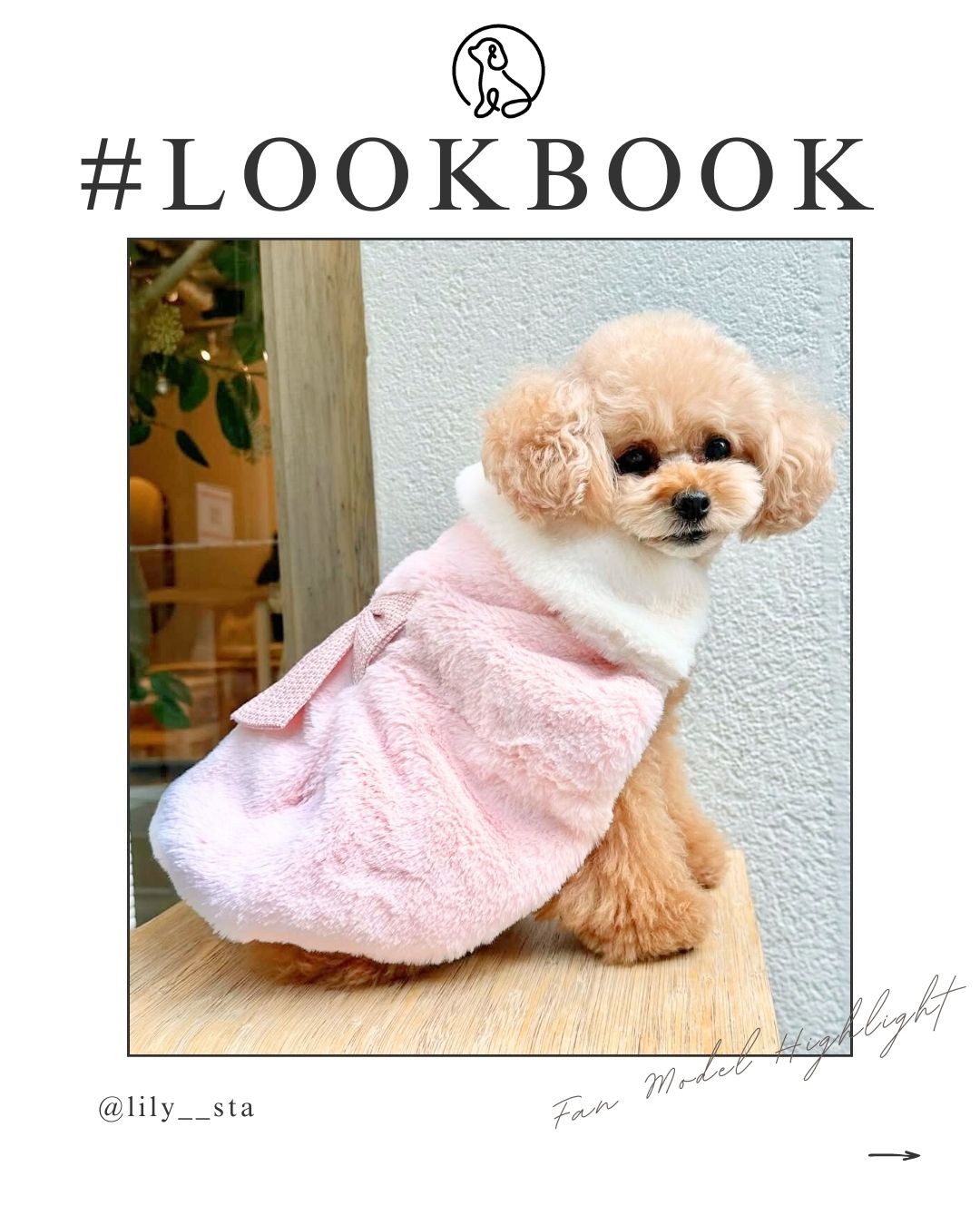 ツイード調リボン付ファーコート ｜ ピンク ホワイト 犬服 ドッグ