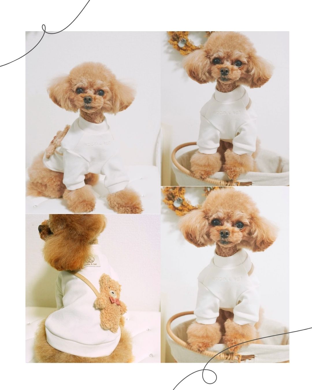 くまポシェット スウェット ｜ ブラウン アイボリー 犬服 ドッグウェア