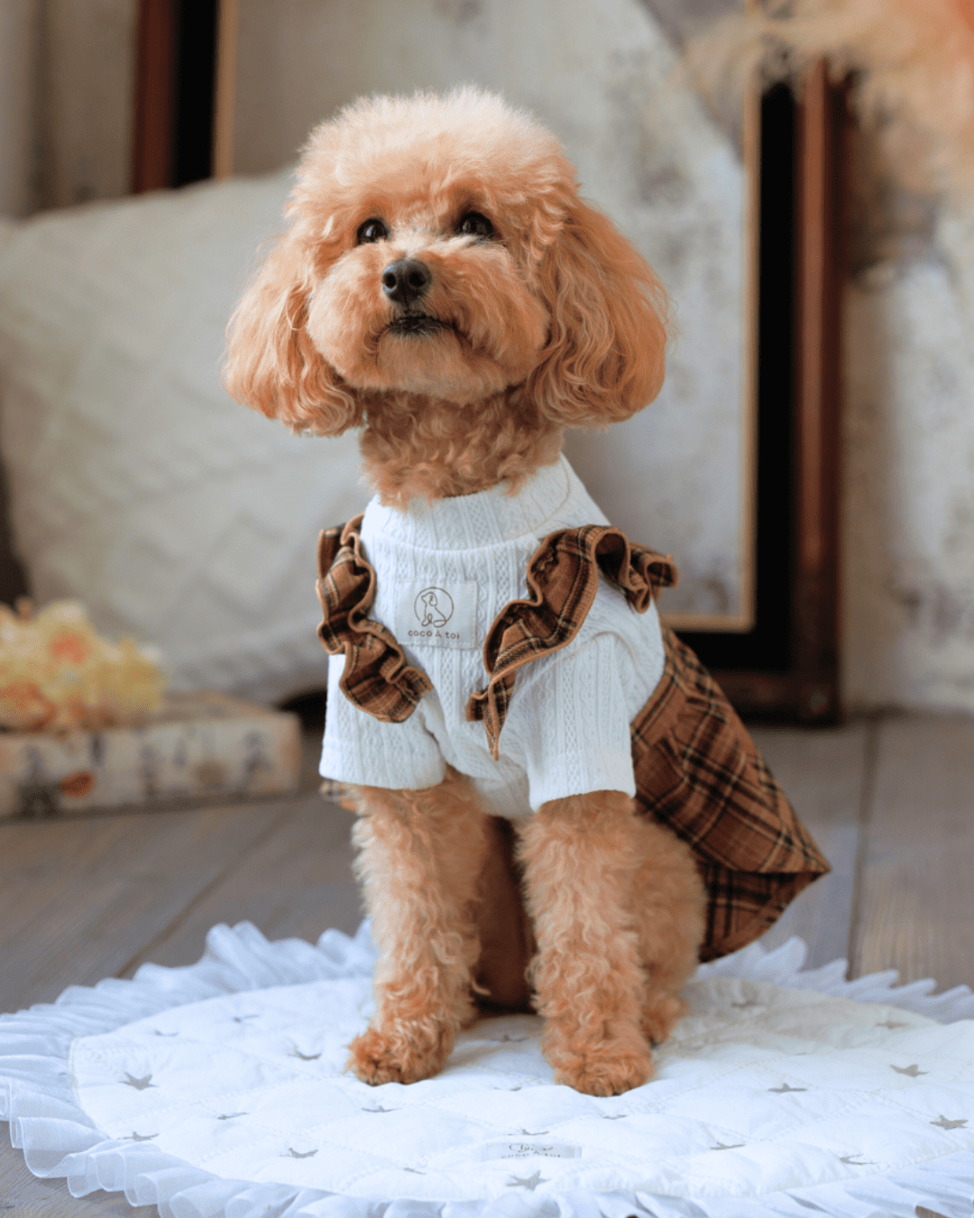 ココアトワ｜秋冬コレクション特集