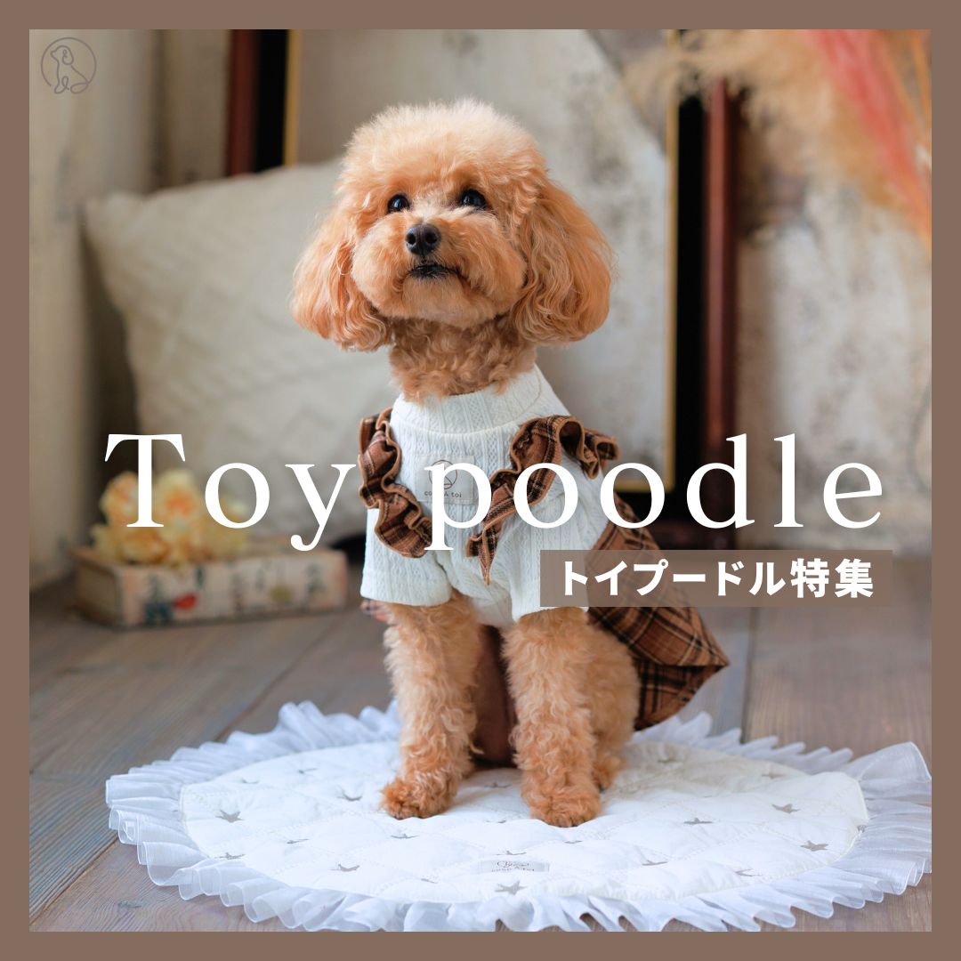 トイプードル特集