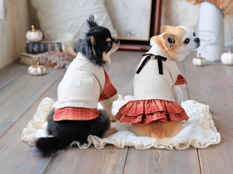 犬服ハンドメイド coco.A様専用