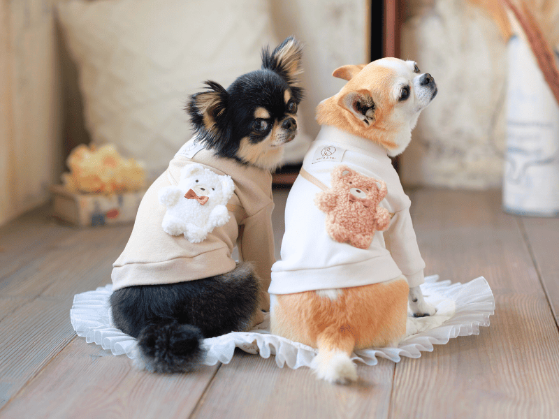 cocoAtoi ココアトワ　Mサイズ2枚セット cctibrand-25aw7.png